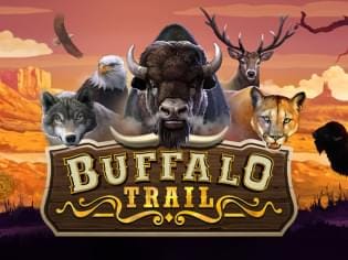 Buffalo Trail Dice